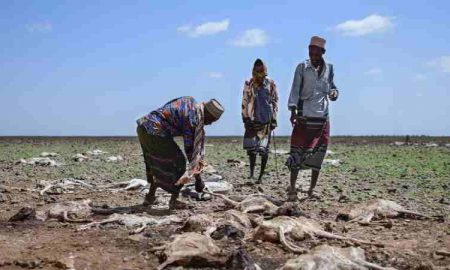 22 millions de personnes sont menacées par la sécheresse dans la Corne de l'Afrique