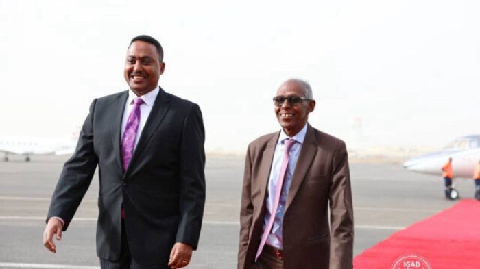 L'Erythrée annonce son retour aux confins de l'IGAD après un retrait de 16 ans