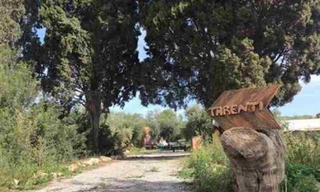 Ferme tunisienne avec animaux et plantes tropicales