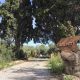 Ferme tunisienne avec animaux et plantes tropicales