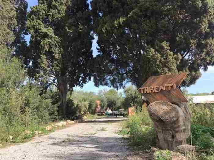 Ferme tunisienne avec animaux et plantes tropicales