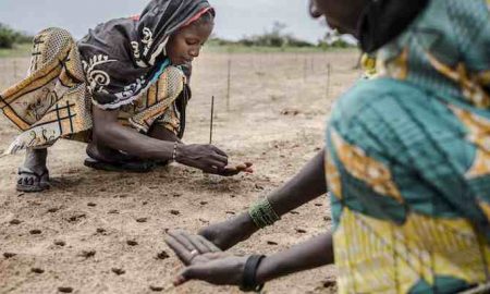 La France se désertifie et le Sahel Africain se verdit