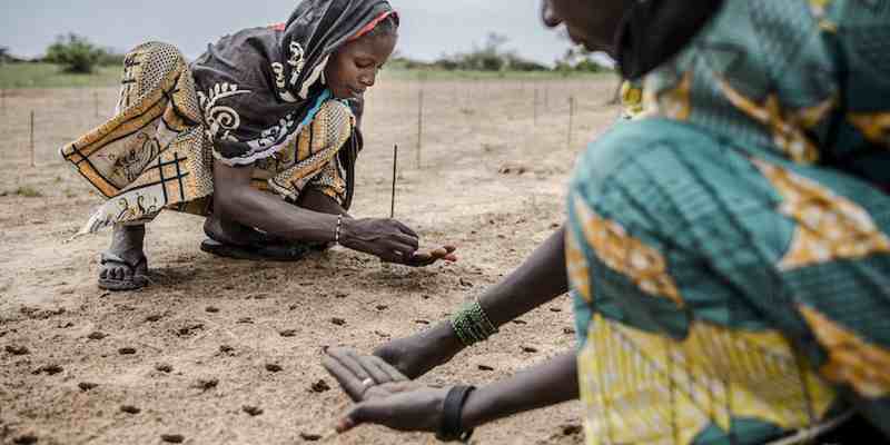 La France se désertifie et le Sahel Africain se verdit