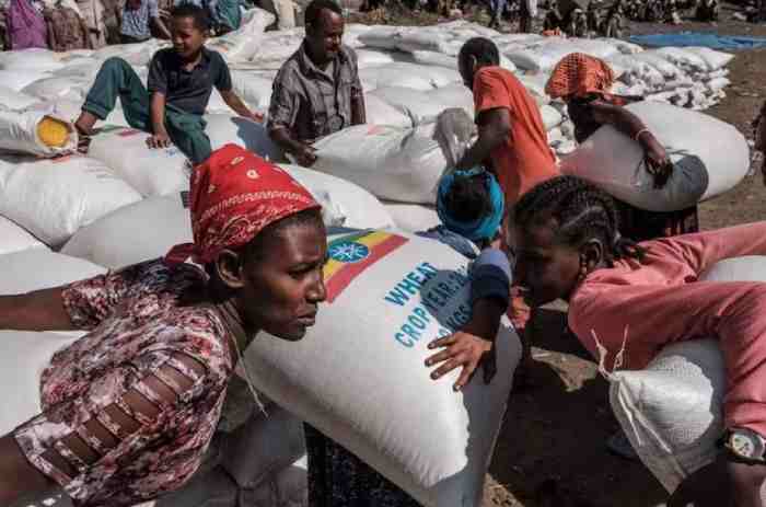 L'ONU suspend "temporairement" l'aide alimentaire à l'Éthiopie