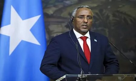 Le potentiel économique de la Somalie sous les projecteurs
