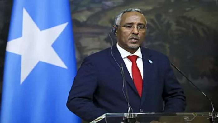 Le potentiel économique de la Somalie sous les projecteurs