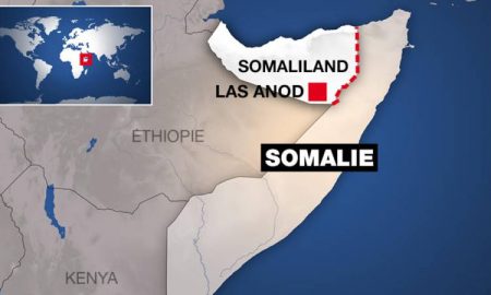 Le Conseil de sécurité appelle le "Somaliland" à se retirer immédiatement de Lasanod