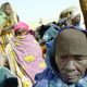 Le conflit au Soudan perturbe la saison des semis d'été et augmente le risque de famine