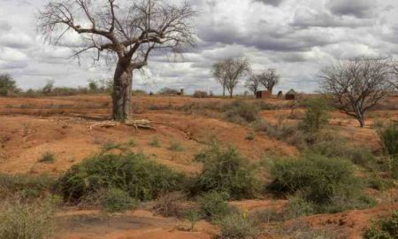 Le changement climatique est la plus grande menace pour les objectifs économiques d'Afrique 2063