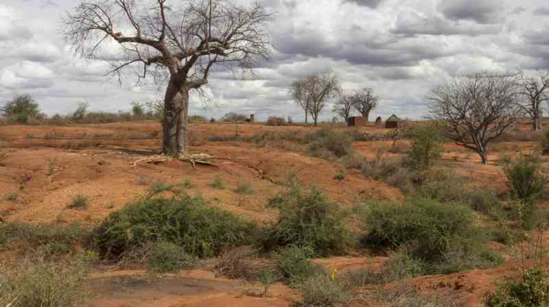 Le changement climatique est la plus grande menace pour les objectifs économiques d'Afrique 2063