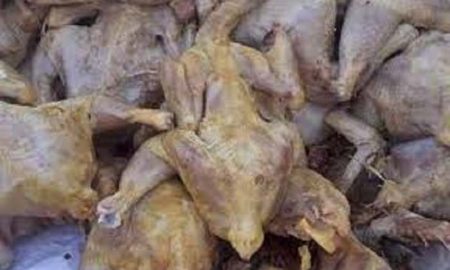 Saisie de 10,21 tonnes de poulet pourri destiné aux restaurants et hôtels en Algérie