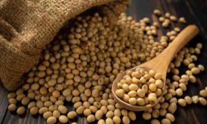 Le Ghana reçoit un soutien pour stimuler la production de soja