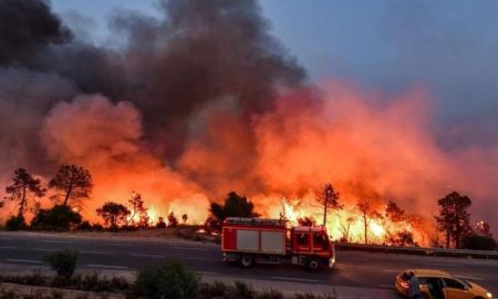 Au milieu des coupures de courant et des incendies de forêt...Une forte vague de chaleur en Tunisie et en Algérie