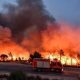 Au milieu des coupures de courant et des incendies de forêt...Une forte vague de chaleur en Tunisie et en Algérie