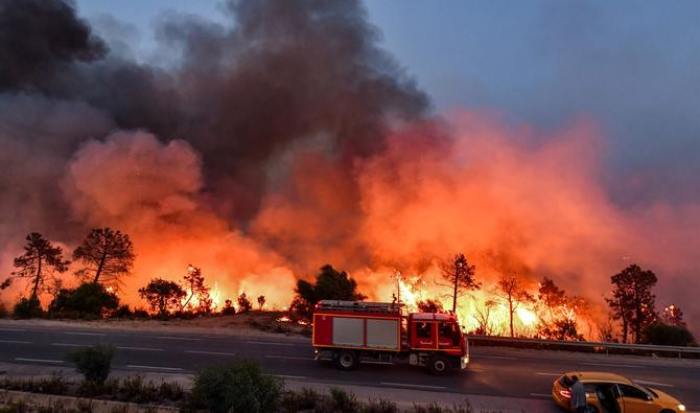 Au milieu des coupures de courant et des incendies de forêt...Une forte vague de chaleur en Tunisie et en Algérie