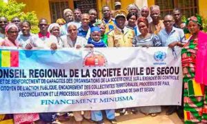La société civile en Afrique, défis et limites du rôle