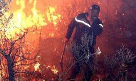 Des nombres incroyables de victimes d'incendies en Algérie