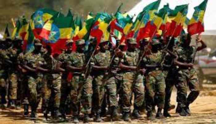 L'armée éthiopienne expulse la milice Fanou de deux villes d'Amhara