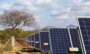La Fondation CEI Afrique signe un partenariat de cofinancement avec Trine