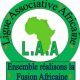 World Negro Development Association et Ligue des communautés africaines