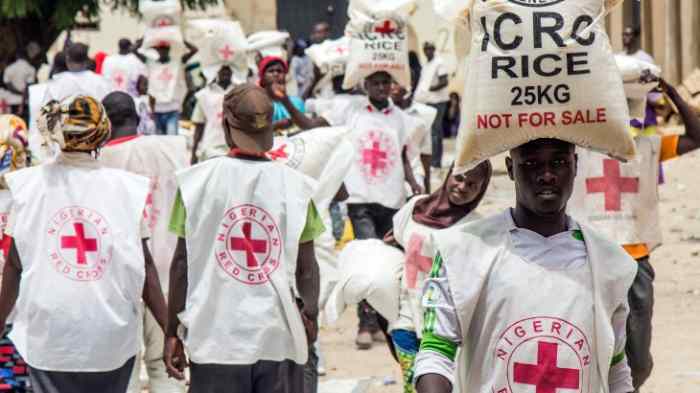 Croix-Rouge : Nous poursuivrons nos activités humanitaires au Niger malgré le coup d'État