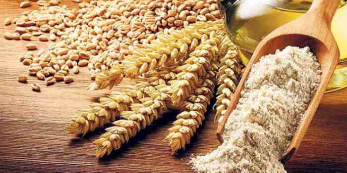L'Égypte prévoit de commencer à acheter du blé avec un financement émirati en janvier