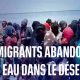 Témoignages d'immigrés "poussés par la Tunisie" vers la frontière libyenne