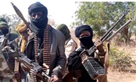 Des hommes armés kidnappent 12 personnes dans les États de Zamfara et de Borno, au nord du Nigeria