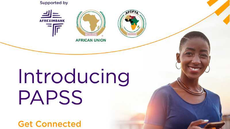 La société de paiement panafricaine Seerbit dévoile une plateforme qui permet aux entreprises de lancer leurs propres solutions fintech