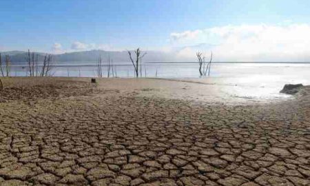 Baisse des récoltes à cause des vagues de prix, la sécheresse menace la sécurité alimentaire en Tunisie