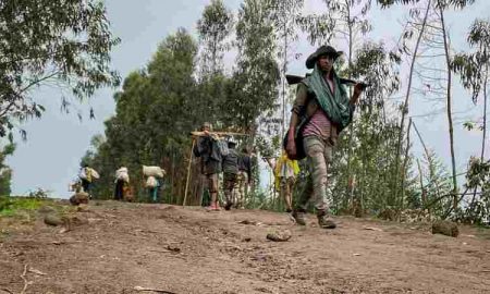 Nations Unies : les combats dans l'État éthiopien d'Amhara ont fait 183 morts