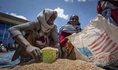 World Food reprend une partie de l'aide alimentaire au Tigré