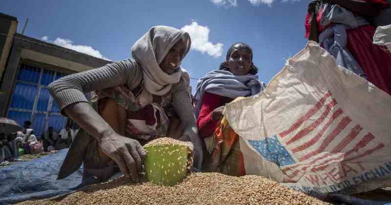World Food reprend une partie de l'aide alimentaire au Tigré