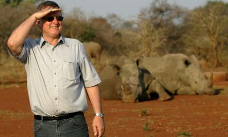 Une grande ferme de rhinocéros sauvée par une ONG en Afrique du Sud