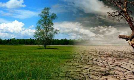 La BAD dévoile une nouvelle initiative pour protéger les agriculteurs des effets du changement climatique