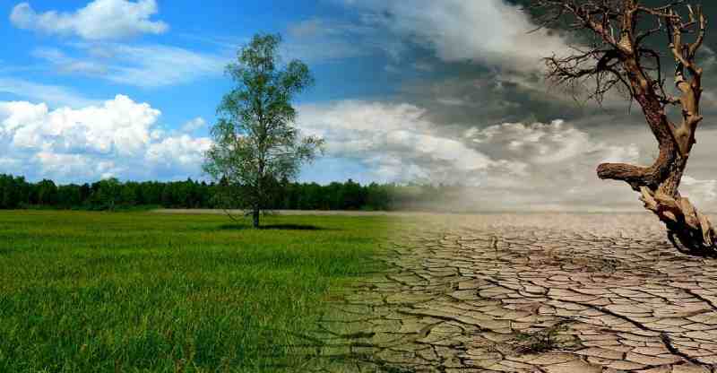 La BAD dévoile une nouvelle initiative pour protéger les agriculteurs des effets du changement climatique