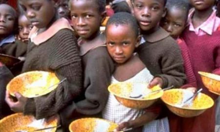 L'ONU alerte sur l'insécurité alimentaire au Niger et au Mali