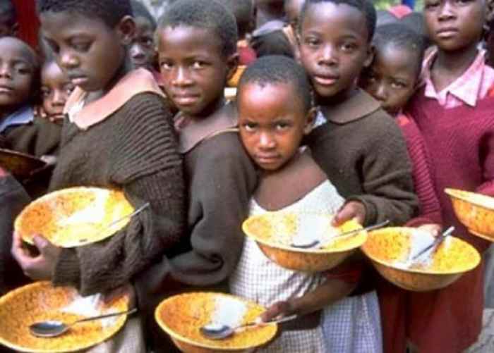 L'ONU alerte sur l'insécurité alimentaire au Niger et au Mali