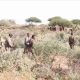 107 membres du mouvement « Al-Shabaab » se rendent aux autorités somaliennes