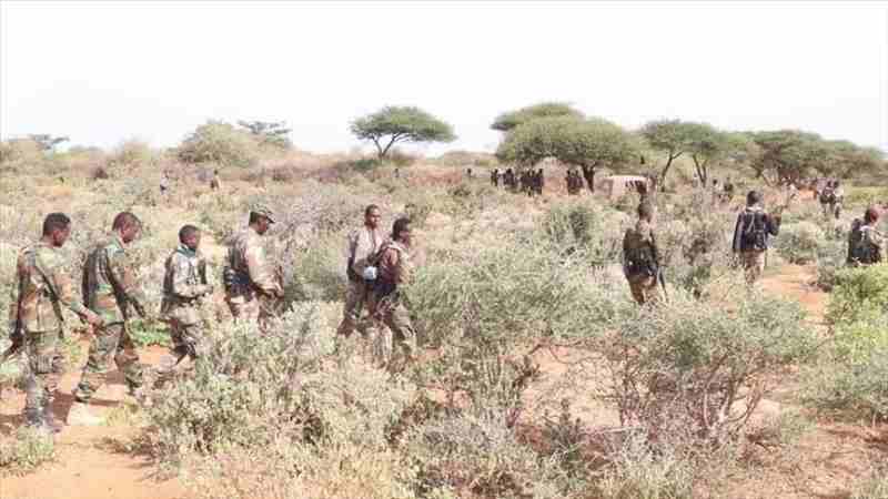 107 membres du mouvement « Al-Shabaab » se rendent aux autorités somaliennes