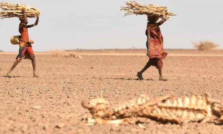 La sécheresse et les changements climatiques sont les principaux sujets à traiter lors du sommet Africain à Nairobi