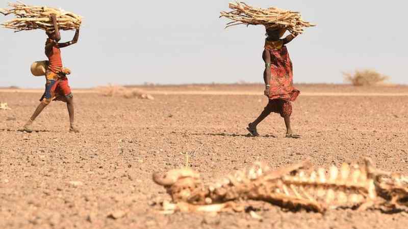 La sécheresse et les changements climatiques sont les principaux sujets à traiter lors du sommet Africain à Nairobi