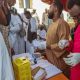 Syndicat médical soudanais : augmentation catastrophique des cas de dengue dans l'État de Gedaref