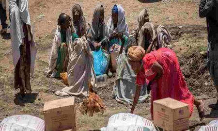 Suite à la suspension de l'aide humanitaire, 1 329 personnes sont mortes de faim dans le Tigré éthiopien