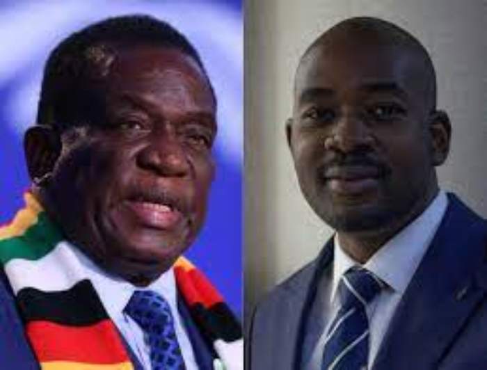 Accusations de corruption contre le président du Zimbabwe après la nomination de son fils au nouveau ministère