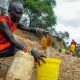 Comment les simples Africains font-ils face aux répercussions du changement climatique ?