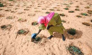 Un responsable de l’ONU : l’Afrique pose un « défi majeur » à la migration climatique