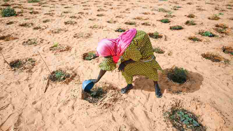 Un responsable de l’ONU : l’Afrique pose un « défi majeur » à la migration climatique