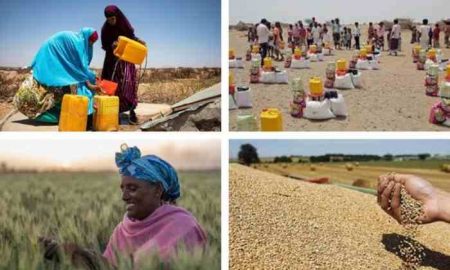 Le continent africain sera-t-il confronté à des pénuries alimentaires ?