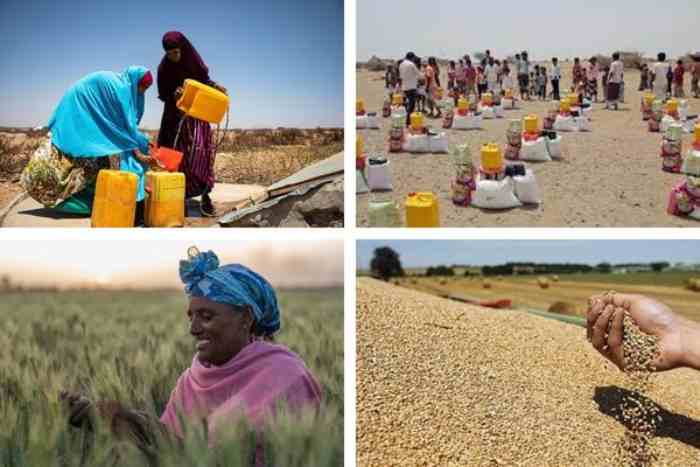 Le continent africain sera-t-il confronté à des pénuries alimentaires ?